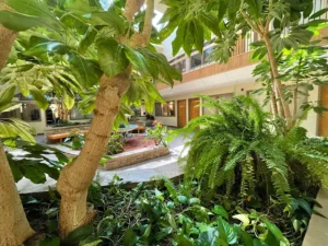2005-Ironwood-Pkwy-atrium-2