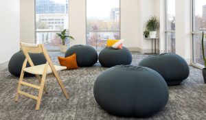 numins_location_murray